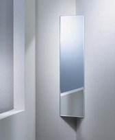 Blue Rome hoekspiegel met facetrand helder glas 80x20cm