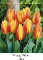 tulp Flair 25 bollen maat 12/+ tulpen bloembollen