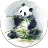 Wandcirkel Eating Panda