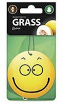 Grass Smile Melon - Luchtverfrisser - 10 stuks
