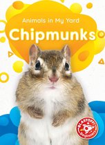 Animals in My Yard - Chipmunks