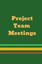 Project Team Meetings