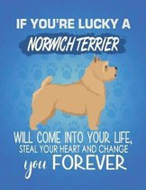 If You're Lucky A Norwich Terrier Will Come Into Your Life, Steal Your Heart And Change You Forever