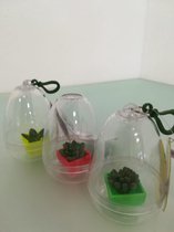 zelfgroeiend speelgoed - voeg water toe om te laten groeien - kunstplant - 3 stuks