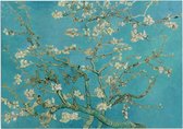 Amandelbloesem, Vincent van Gogh - Foto op Forex - 120 x 90 cm