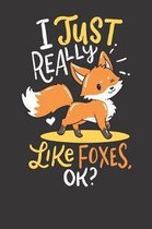Foxes Notebook: Baby Fox I Just Really Like Foxes Ok Smart Cute Little Gift 6x9 Dot Grid Dotted 120 Pages for School College