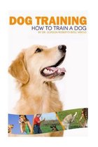 Dog Training: How to train a dog