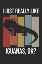 I Just Really Like Iguanas, OK?