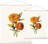 Goudsbloem (Marigold Whie) - Foto op Textielposter - 120 x 160 cm