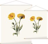 Goudsbloem 2 (Common Marigold White) - Foto op Textielposter - 60 x 80 cm