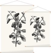 Hippophae zwart-wit (Buckthorn) - Foto op Textielposter - 60 x 90 cm