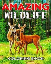 Amazing WildLife Coloring Book