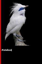 Notebook: Beautiful notebook with bird motive. 6''x9'' inch