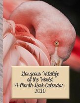 Gorgeous Wildlife of the World 14 Month Desk Calendar 2020: Denizens of Field and Forest, Oceans and Streams - Beautiful Nature Photos