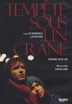 Compagnie Air De Lune - Tempete Sous Un Crane (2 DVD)