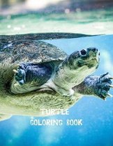 Turtle coloring book