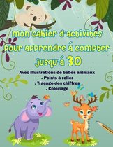 Mon cahier d'activites pour apprendre a compter jusqu'a 30