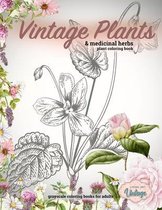 Vintage plants & medicinal herbs plant coloring book. Grayscale coloring books for adults