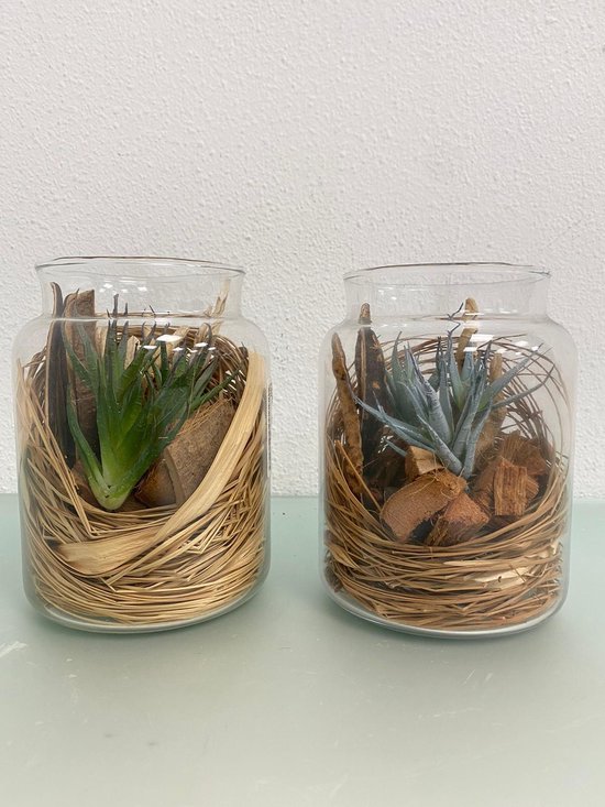 naar voren gebracht Maxim helemaal Decoratieve glazen vaas met natuurlijke versiering - set van 2 stuks  (kunstplant/takken) | bol.com
