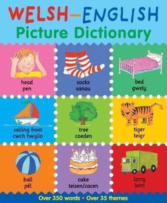 WelshEnglish Picture Dictionary 9781849671132 Catherine Bruzzone