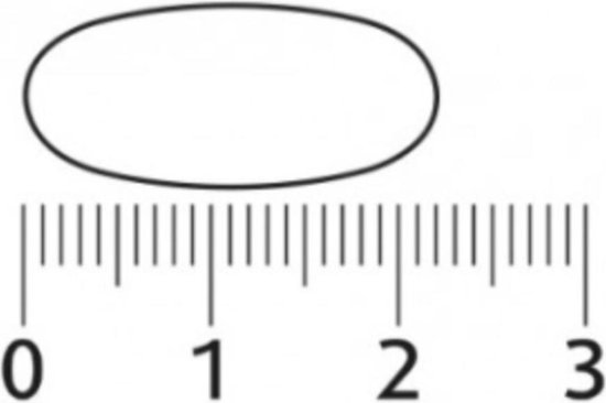 Een pil van ongeveer 2 cm lang, gemeten op een liniaal met markeringen van 0 tot 3.