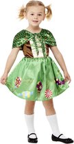 Smiffy's - Elfen Feeen & Fantasy Kostuum - Sprookjes Snoepkont Grietje - Meisje - Groen - Maat 90 - Carnavalskleding - Verkleedkleding