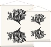 Minuartia Sedoides zwart-wit (Mossy Cyphel) - Foto op Textielposter - 45 x 60 cm