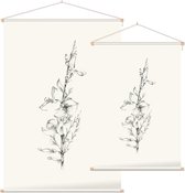 Genisteae zwart-wit Schets (Broom) - Foto op Textielposter - 60 x 90 cm