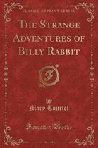 The Strange Adventures of Billy Rabbit (Classic Reprint)