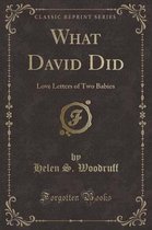 What David Did