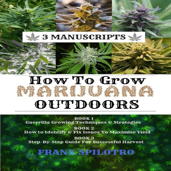 How to Grow Marijuana Outdoors - cover