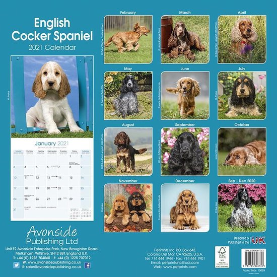 English Cocker Spaniels Kalender 2021 Bestel nu!