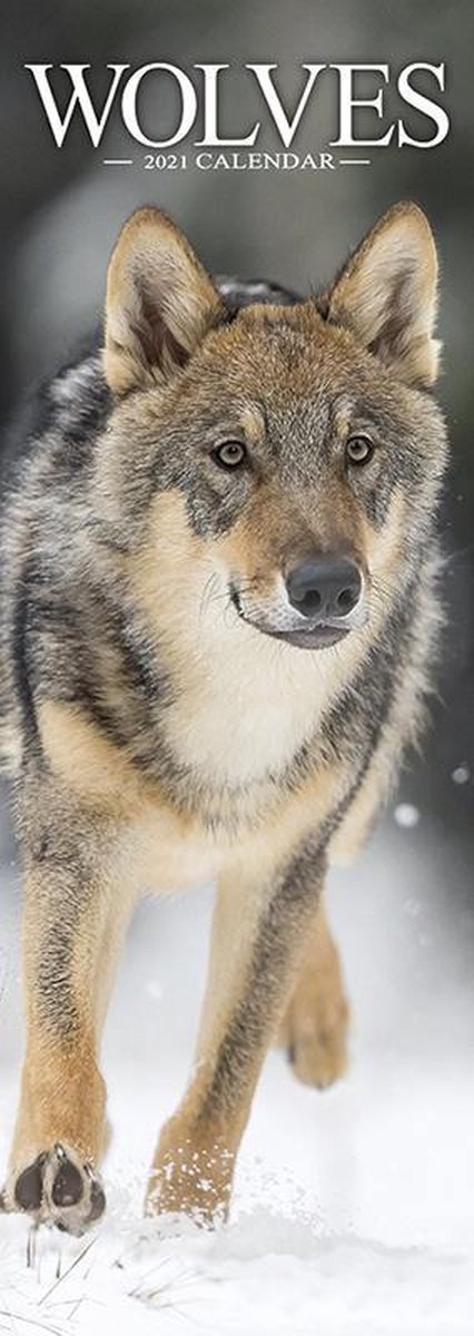 Wolves Slimline Kalender 2021