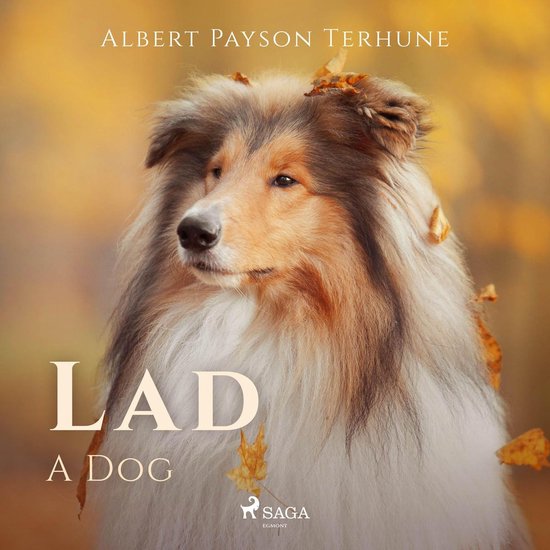 Lad: A Dog - cover