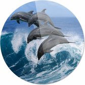 Dolfijnen springend| 140 x 140 CM | Dieren op plexiglas | Wanddecoratie | Dieren Schilderij | 5 mm dik Plexiglas muurcirckel