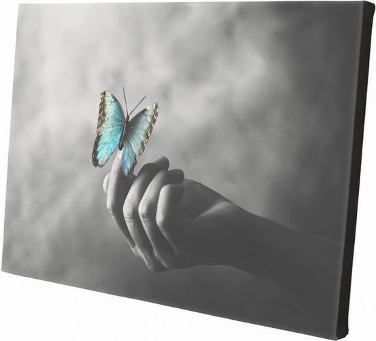 Vlinder op hand | 30  x 20 CM | Wanddecoratie | Dieren op canvas | Schilderij | Canvasdoek | Schilderij op canvas