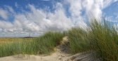 Fotobehang vuurtoren van Ameland 350 x 260 cm - € 235,--