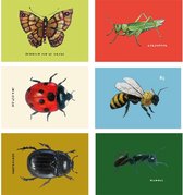 Insectenkaarten met Friese namen