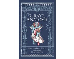 foto van Gray's Anatomy (Barnes & Noble Collectible Classics