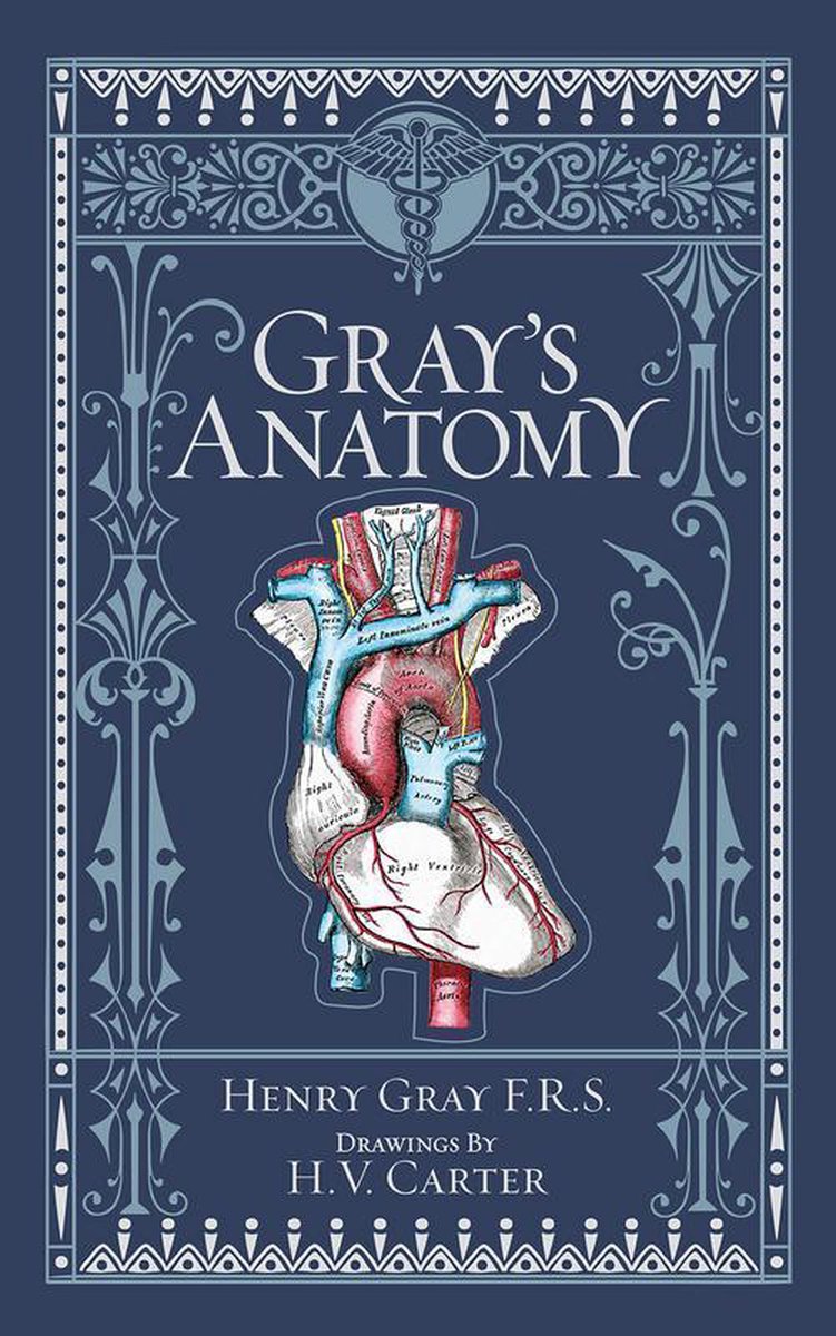 Gray's Anatomy (Barnes & Noble Collectible Classics - Henry Gray
