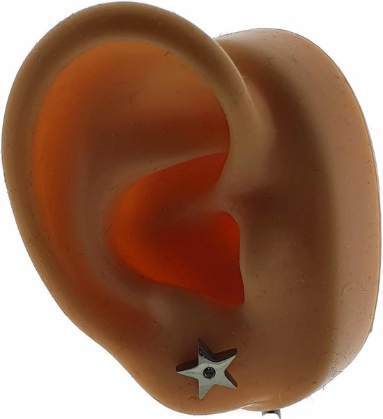 Aramat jewels ® - Zweerknopjes oorbellen ster zirkonia chirurgisch staal 8mm