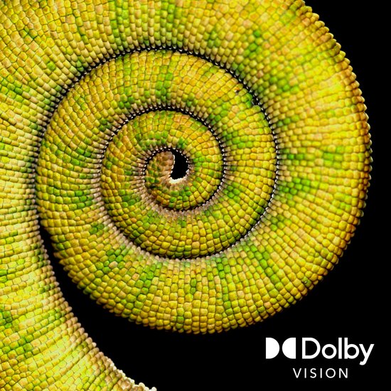 Een groene en gele spiraalvormige staart van een kameleon met het Dolby Vision logo.
