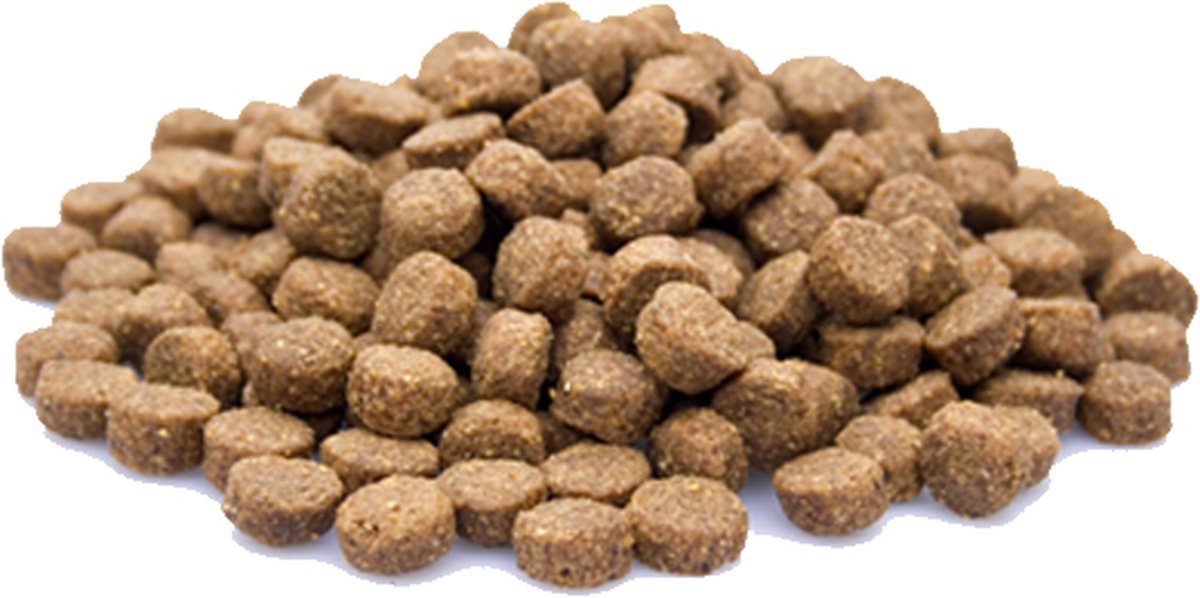 Hondenbrokken Adult Plus 20 kg – Complete & Gebalanceerde Voeding voor Volwassen Honden!