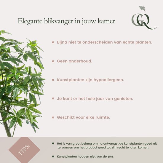 Plantes artificielles Green Boutiq : hypoallergéniques, sans entretien, à apprécier toute l'année. Conseils d'entretien.