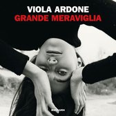 Livre audio numérique