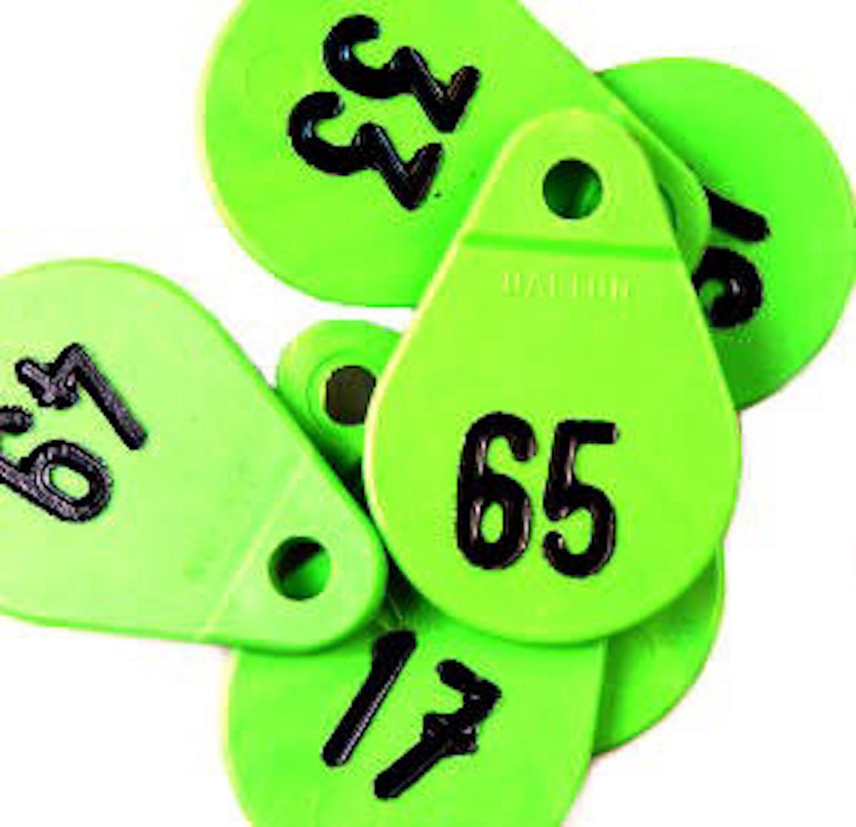 Halsplaatje groen no.76t/m100