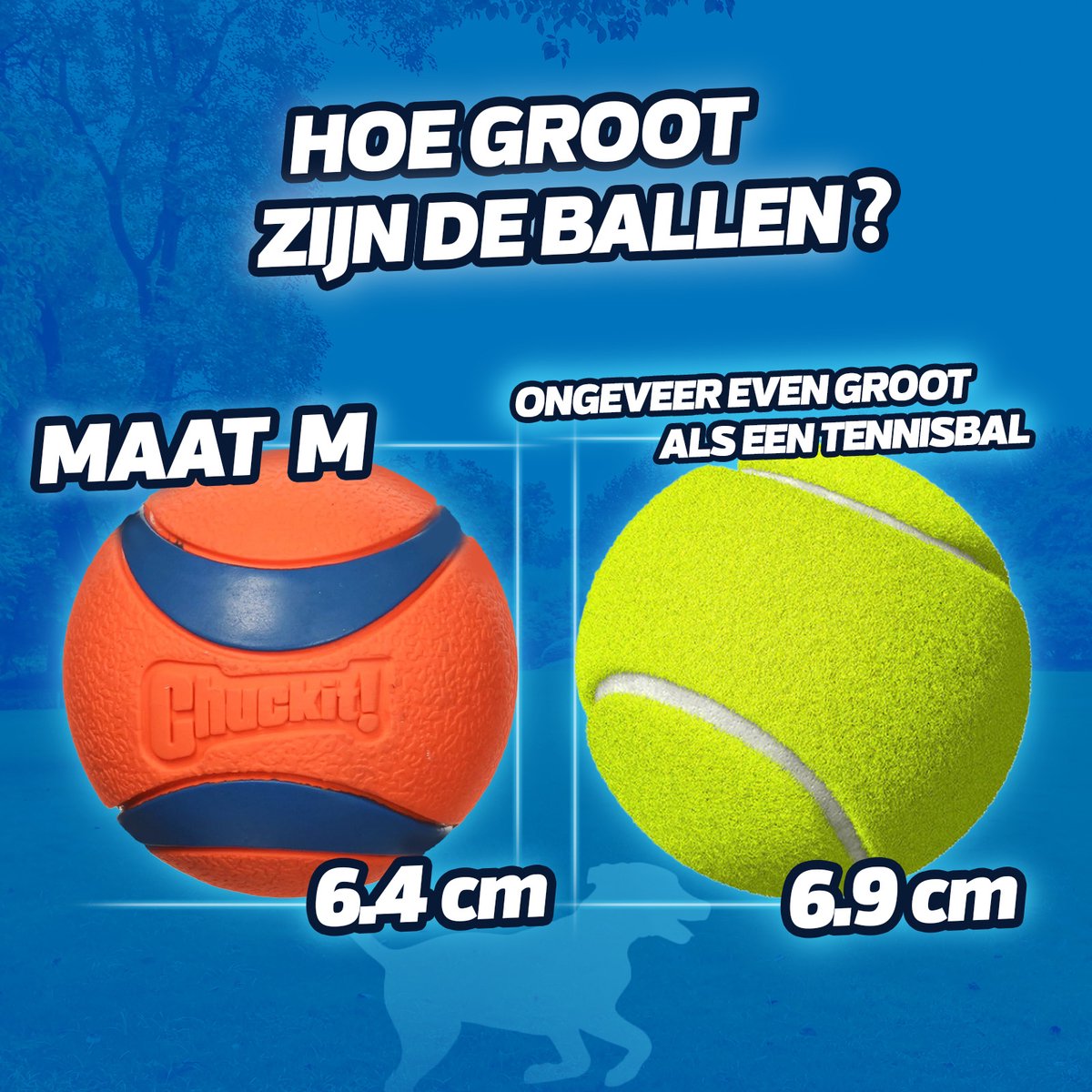Hofman Animal Care Chuckit! Bucket 8 Ballen M Ø6cm thumbnail 3