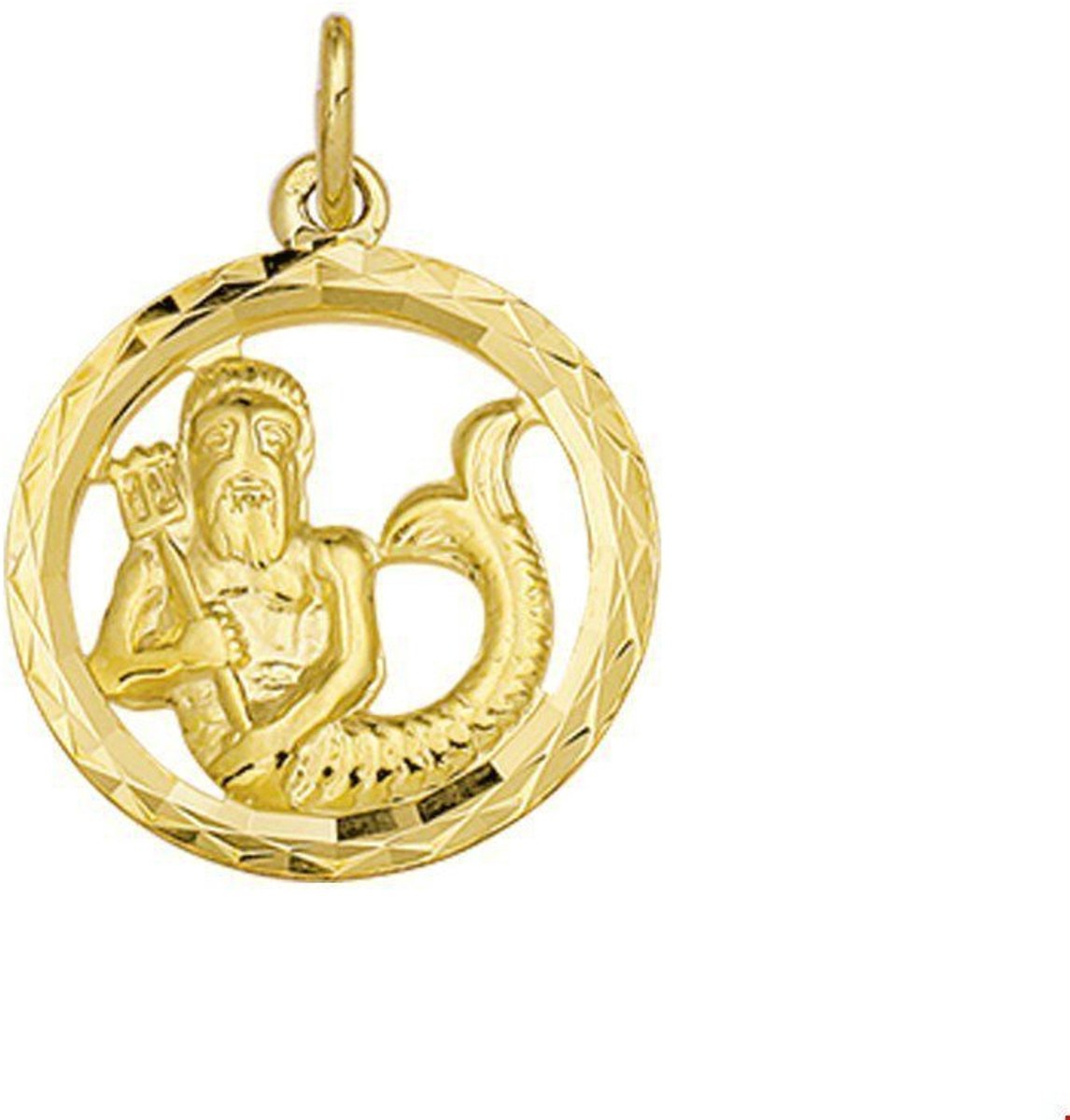 Hanger Sterrenbeeld Gediamanteerd 14K Geelgoud