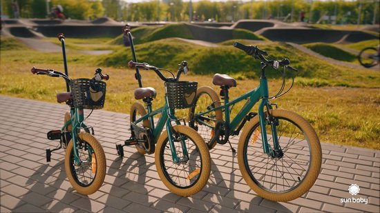 Vélo pour enfants Verdant Bike pour garçons, 20 pouces vert, taille de roue sélectionnable parmi 6 vitesses Shimano de 6 à 10 ans, réglable en hauteur