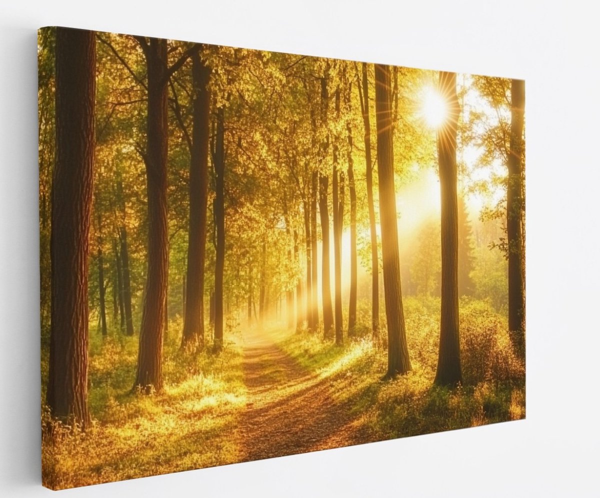 Saammp Canvas Schilderij - Bos tijdens Goldenhour - Herfst - Natuur - 150x100 - Foto op canvas - Wanddecoratie - Muurdecoratie Woonkamer - Slaapkamer decoratie - Canvas Print Multicolor